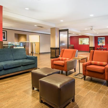 Comfort Inn & Suites Kissimmee By The Parks Four Corners Exteriér fotografie